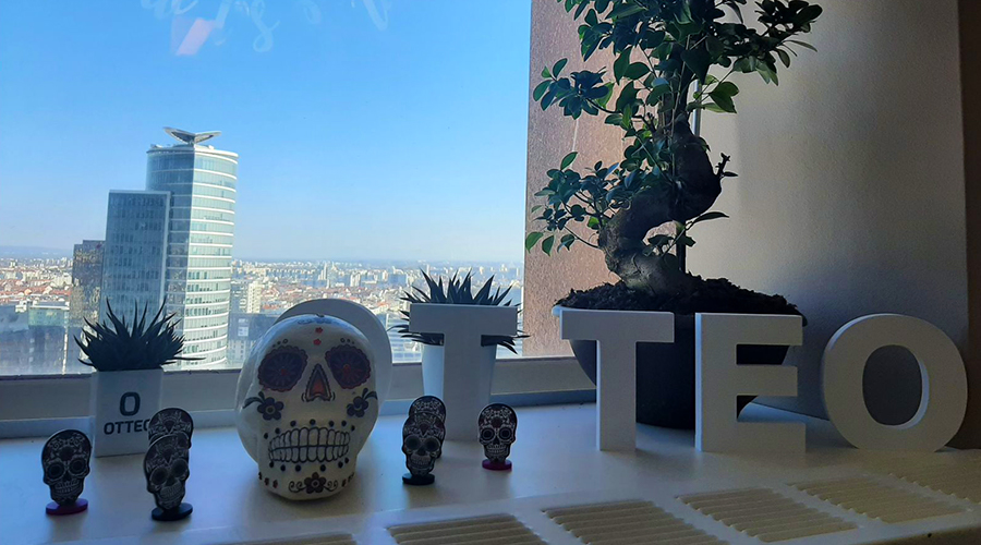 Les animations halloween d'OTTEO
